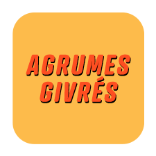 Diffuseurs pour voiture - Funky & Co.