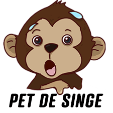 Diffuseurs pour voiture - Funky & Co.