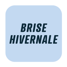 Diffuseurs pour voiture - Funky & Co.